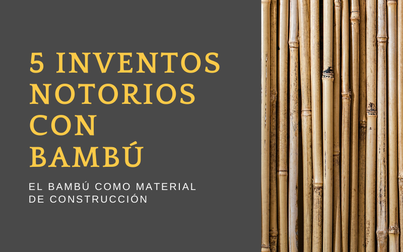 Bambú como material de construcción: inventos y mantenimiento