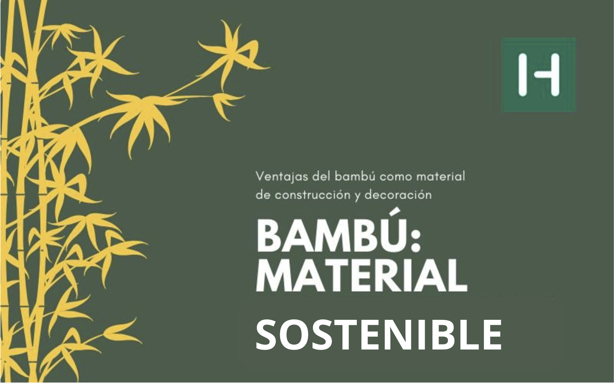 Bambú: Material Sostenible, Natural y de Múltiples Usos